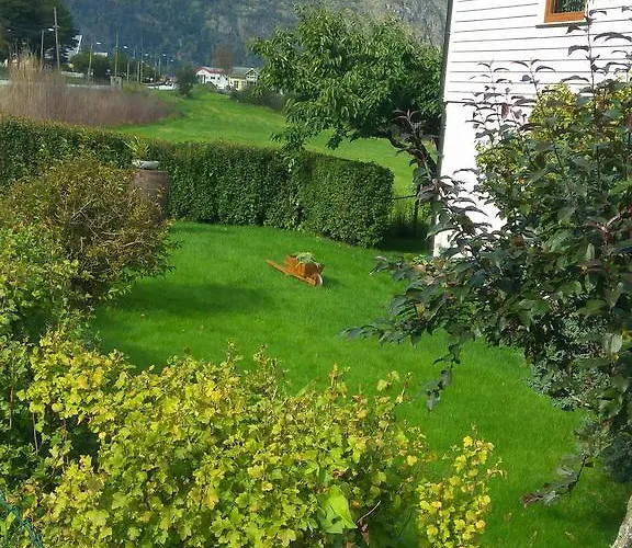 Alis Апартаменты