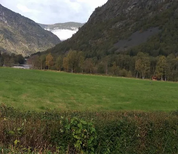 Alis * Tønjum
